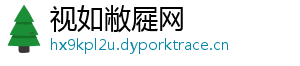 视如敝屣网